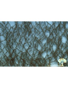 (973-26) Green spruce...