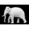 INDIAN ELEPHANT (54mm)