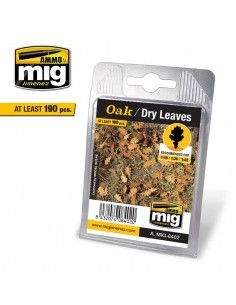 FOGLIE SECCHE DI QUERCIA