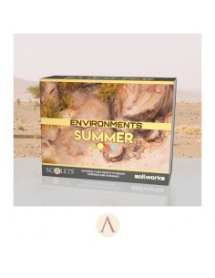 SET ENVIRONMENTS SUMMER