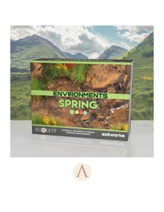 SET ENVIRONMENTS SPRING