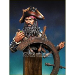 The PIRATE - (1/10)