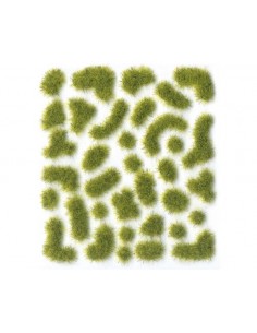 Scenery Wild Moss size... 2