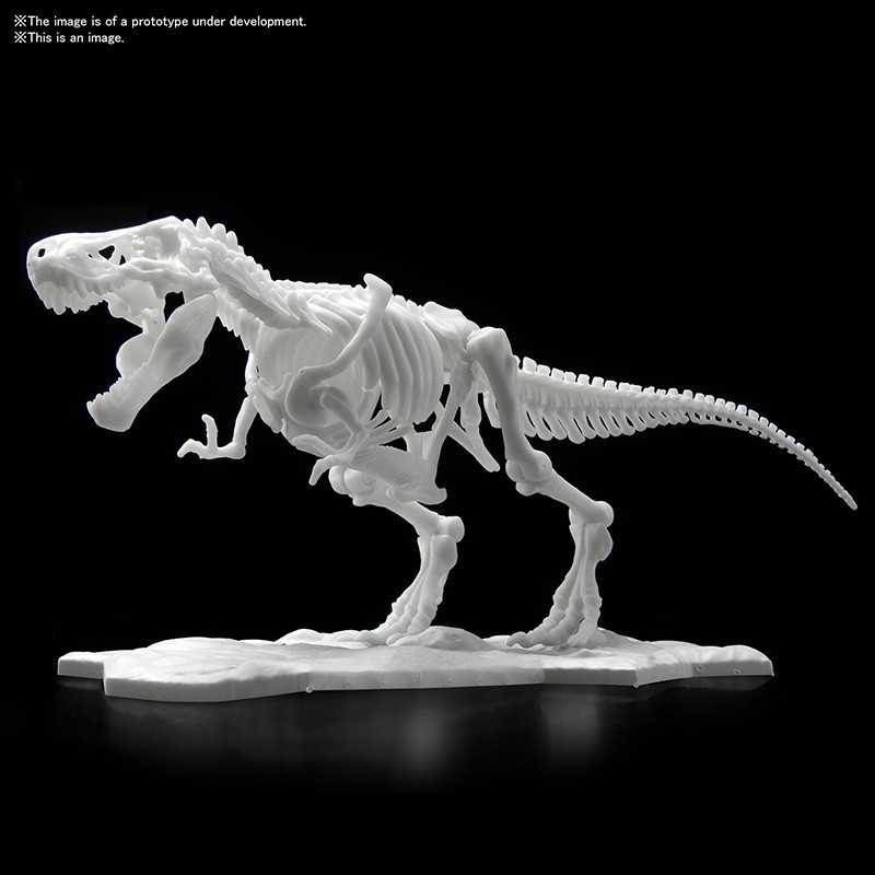 DINOSAUR LIMEX SKELETON TYRANNOSAURUS MK