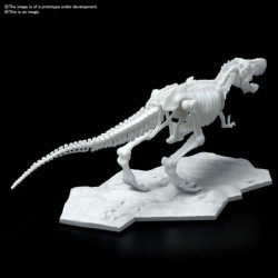 DINOSAUR LIMEX SKELETON TYRANNOSAURUS MK