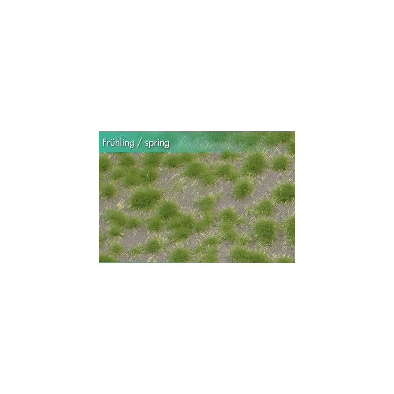 (717-21) Short tufts spring