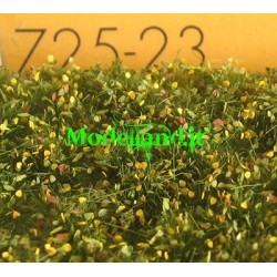 (725-23) Weed tufts early fall