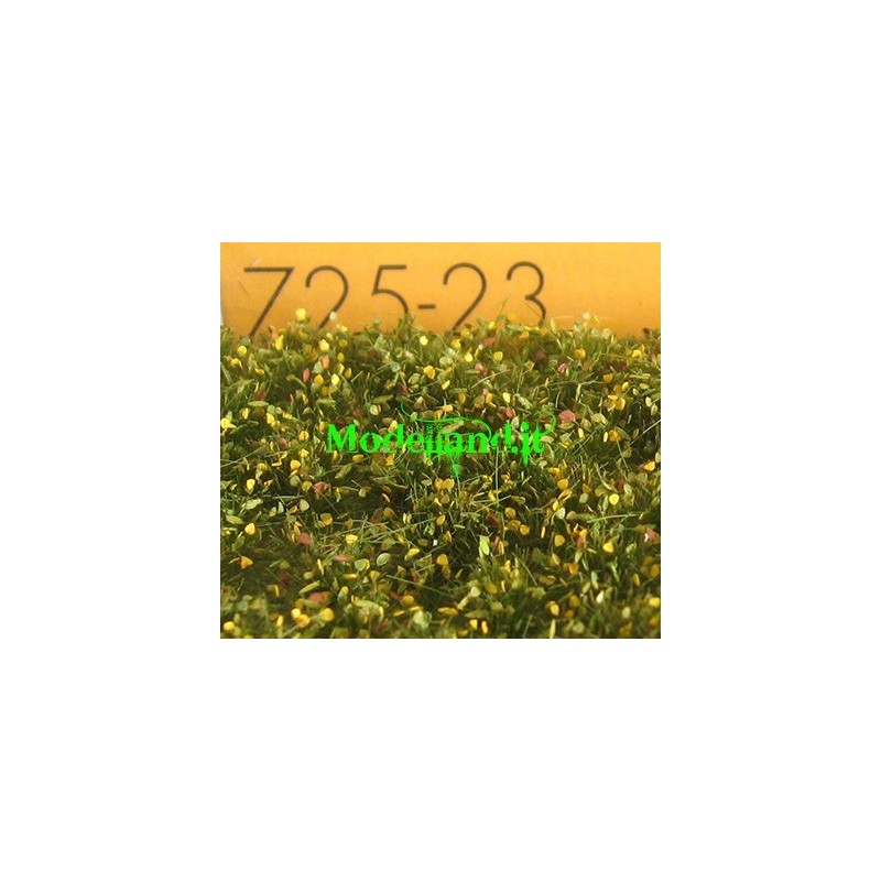 (725-23) Weed tufts early fall