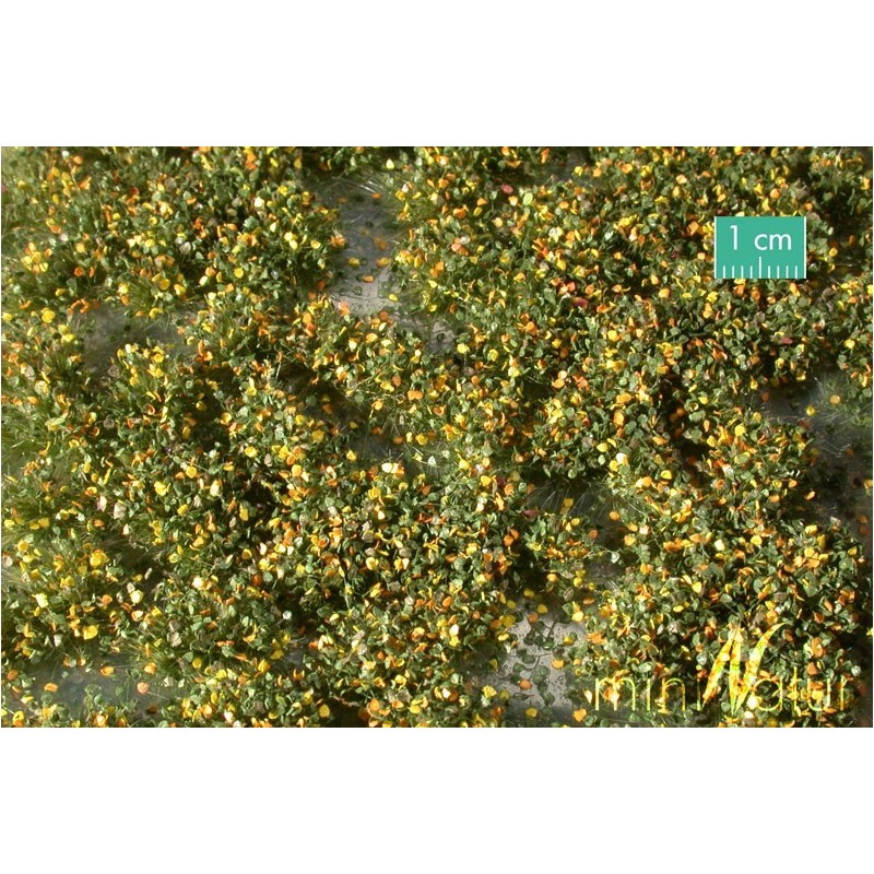 (725-23) Weed tufts early fall