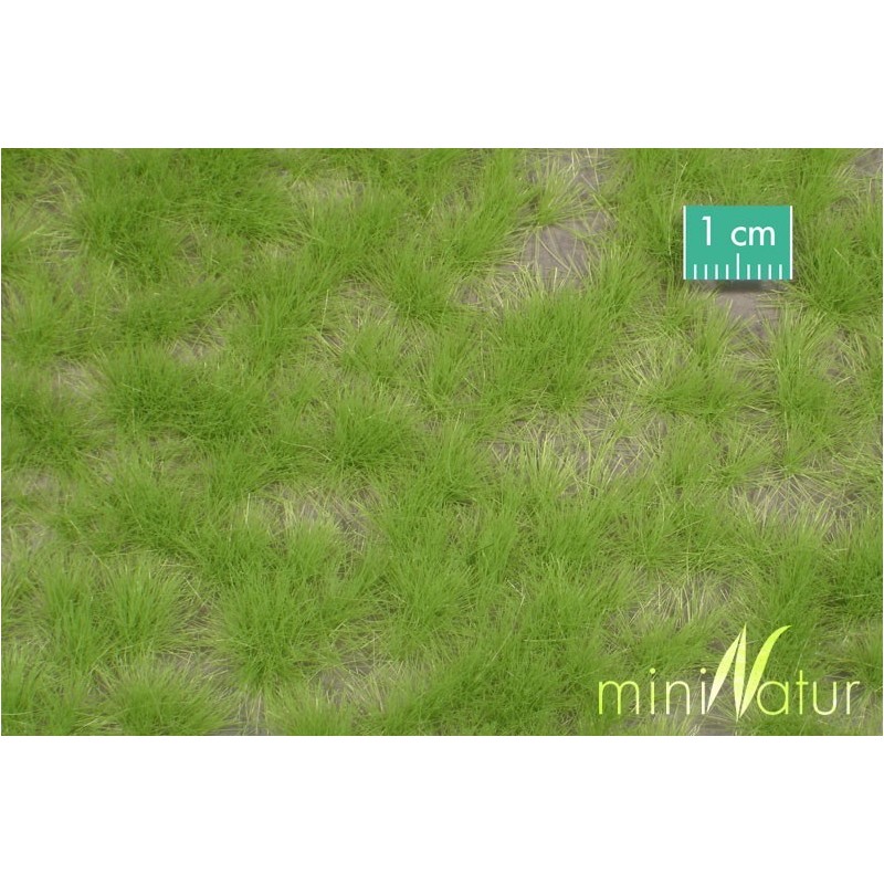 (727-31) Long tufts spring
