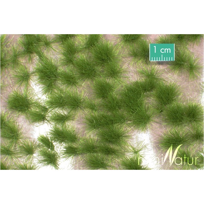 (727-32) Long tufts summer