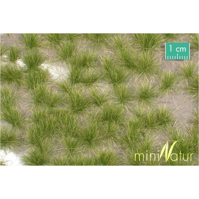 (727-33) Long tufts early fall