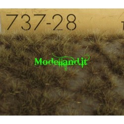 (737-28) Tufts of Desert late fall