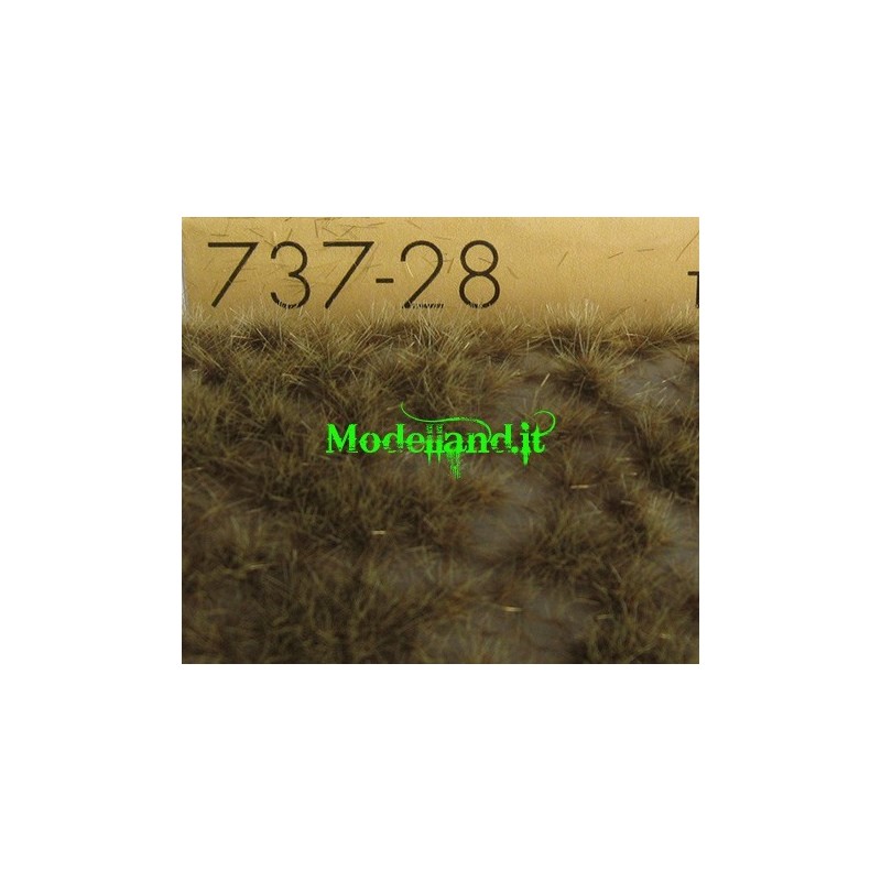 (737-28) Tufts of Desert late fall