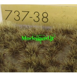(737-38) Tufts of Desert late fall