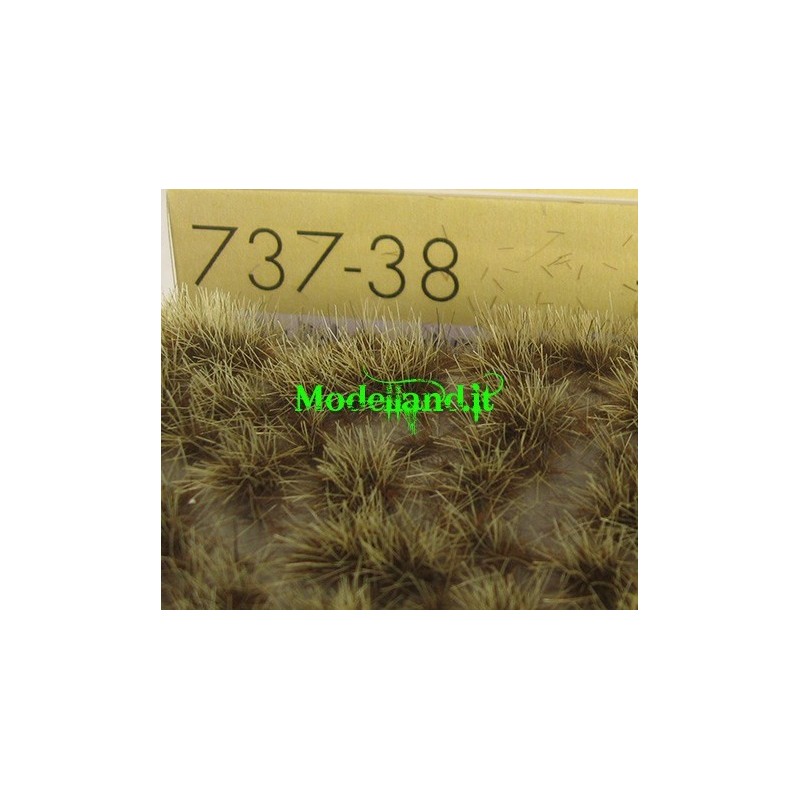 (737-38) Tufts of Desert late fall