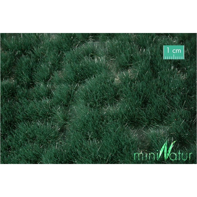(739-22) Reed grass tufts summer