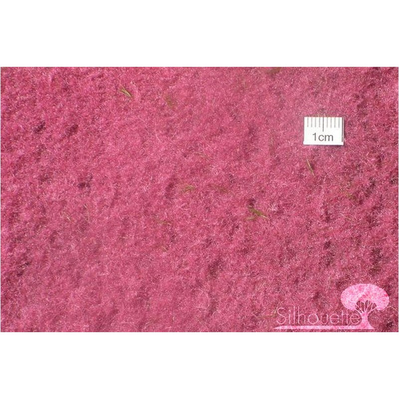 (791-24) groundcover pink