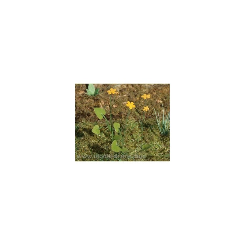 Calendula di palude scala 1/35