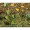 Calendula di palude scala 1/35