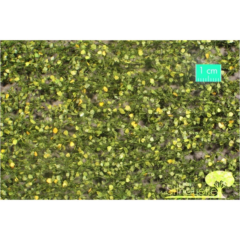 (910-33) Birch foliage early fall