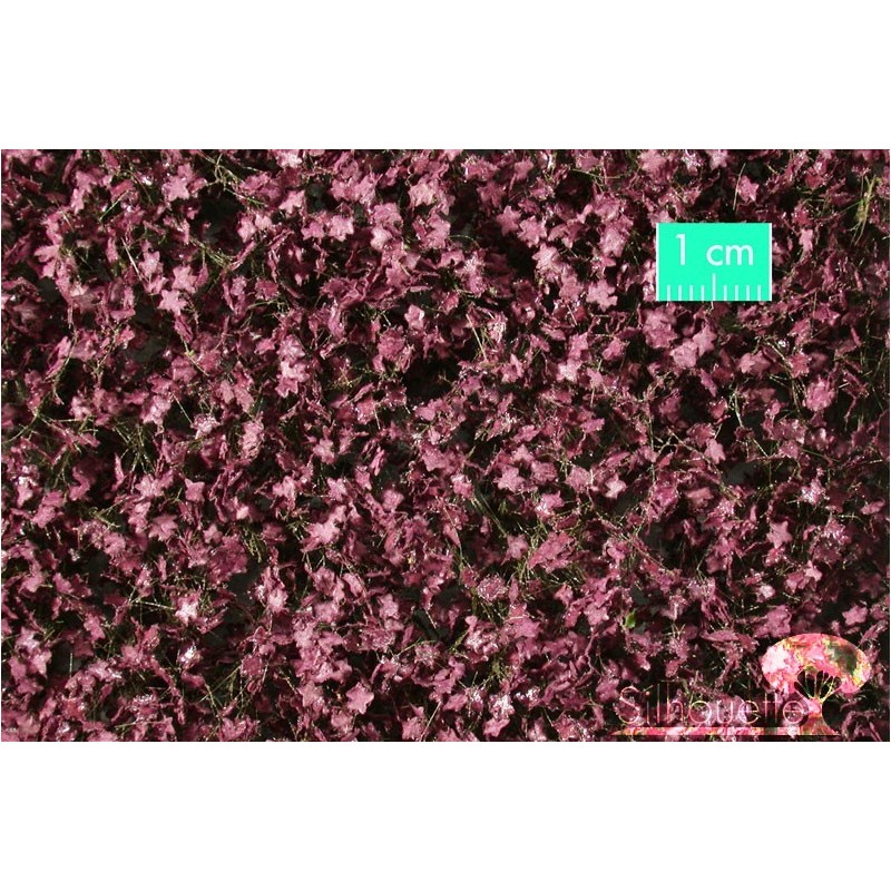 (932-22) Red maple foliage summer