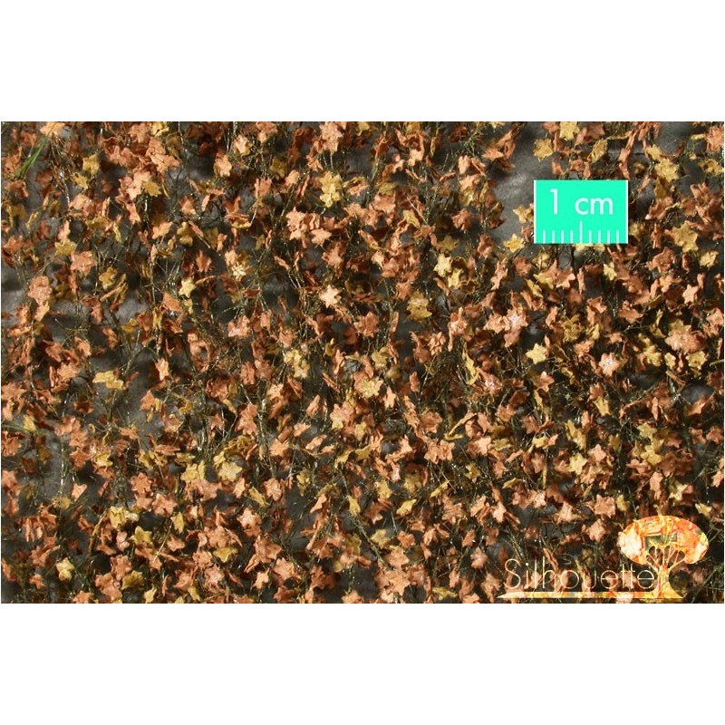 (933-24) Plane-tree foliage late fall