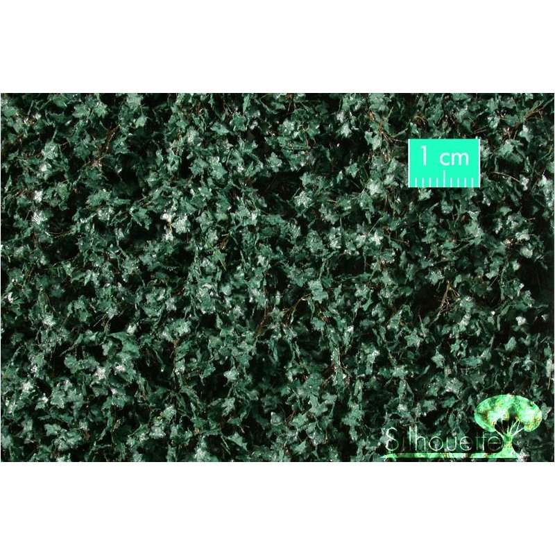 (936-22) Ivy summer
