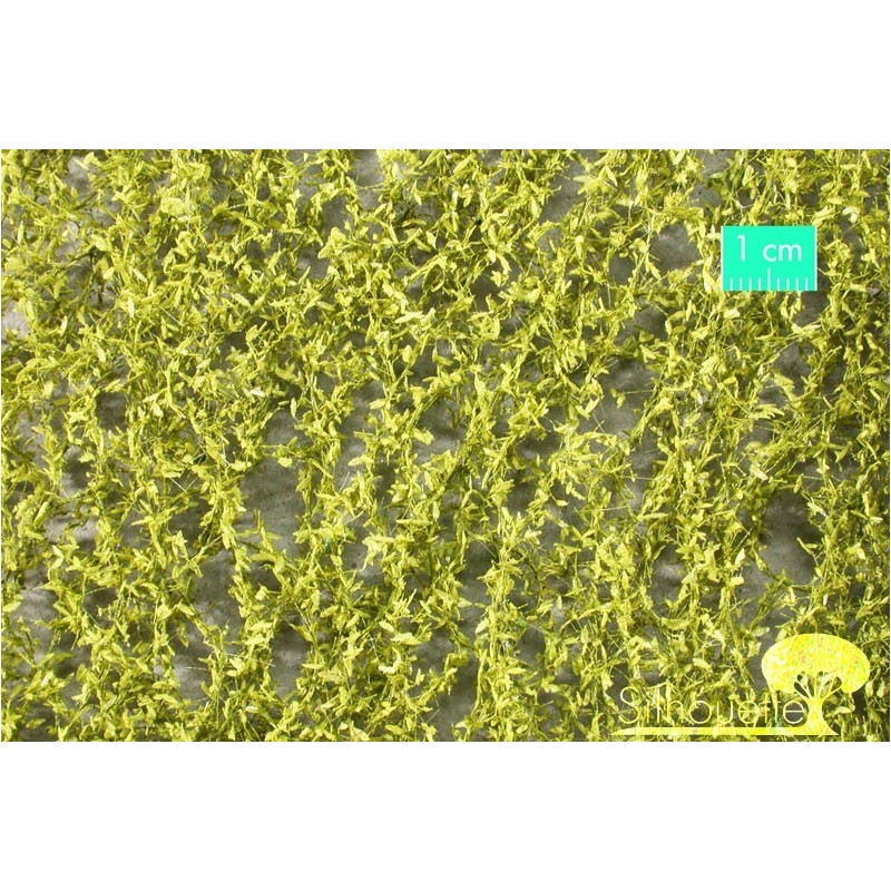 (940-21) Weeping willow foliage spring