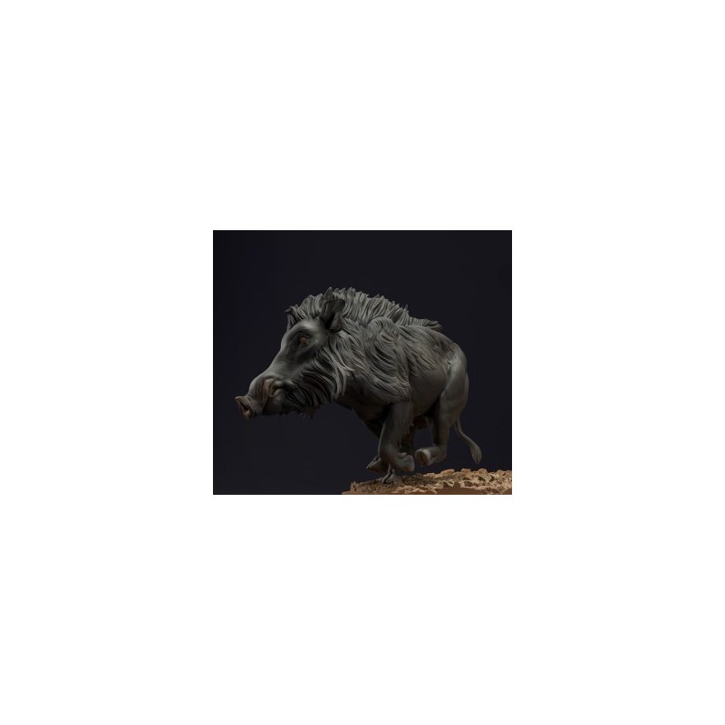 Cinghiale (varie scale)