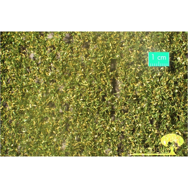 (940-23) Weeping willow foliage early fall