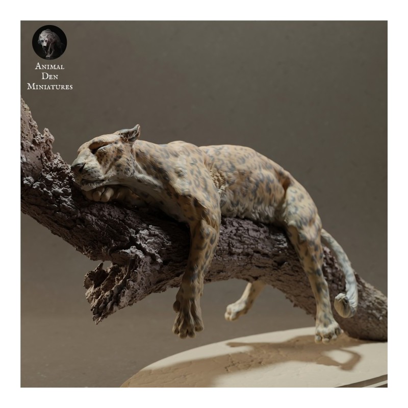 Leopardo su albero (varie scale)
