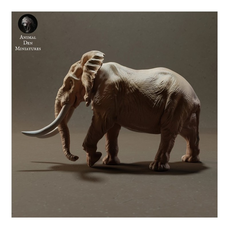 Elefante (varie scale)