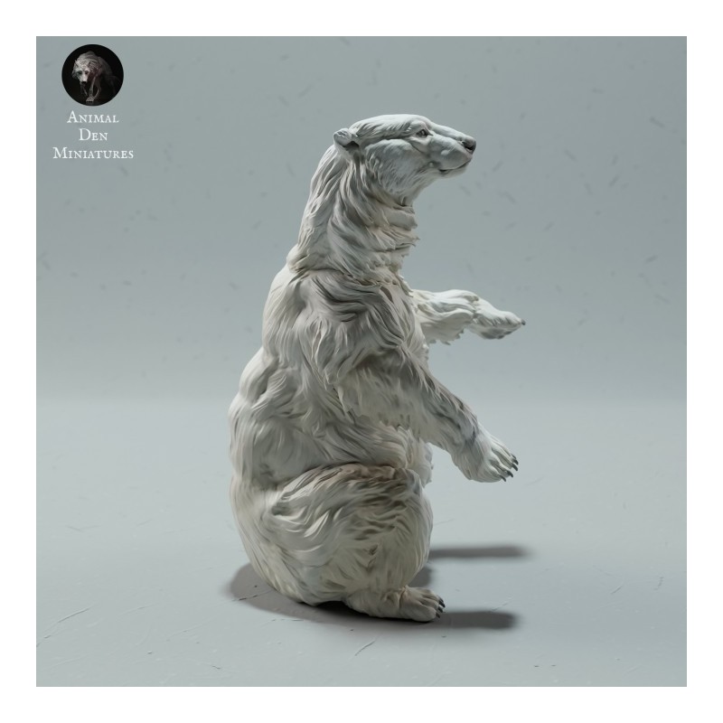Orso singolo 2 (varie scale)