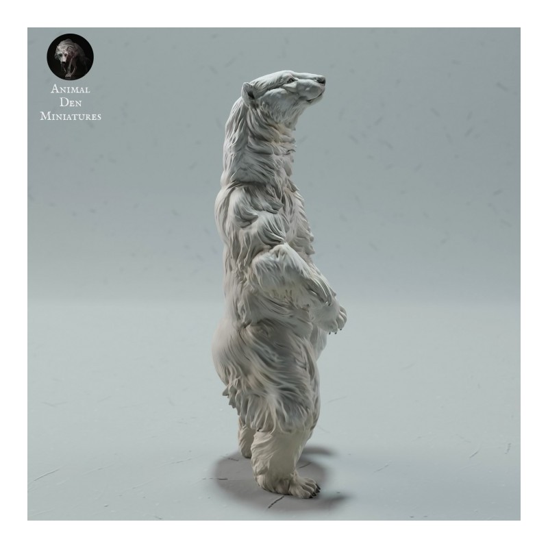 Orso singolo 3 (varie scale)