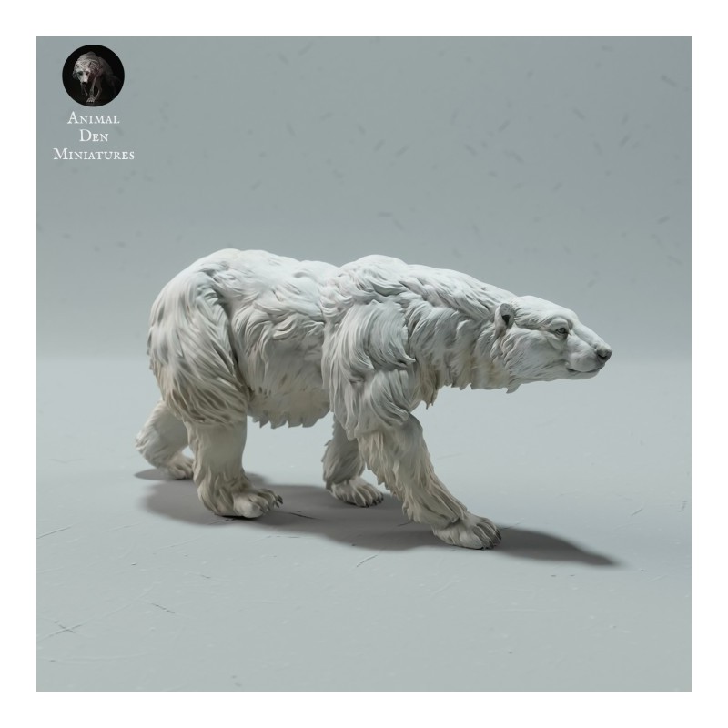 Orso singolo 4 (varie scale)
