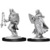 D&D Kalashtar Cleric