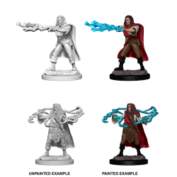 D&D Nolzur’s Marvelous Human Male Sorcerer