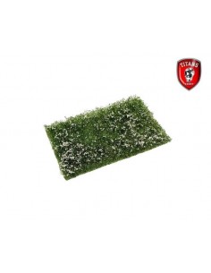 Prato fiorito cm.10x15...
