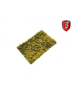 Prato fiorito cm.10x15...