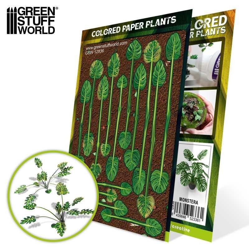 Piante di Carta Colorata - Monstera (12836)