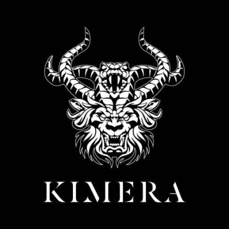 Kimera Models