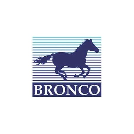 BRONCO MODELS